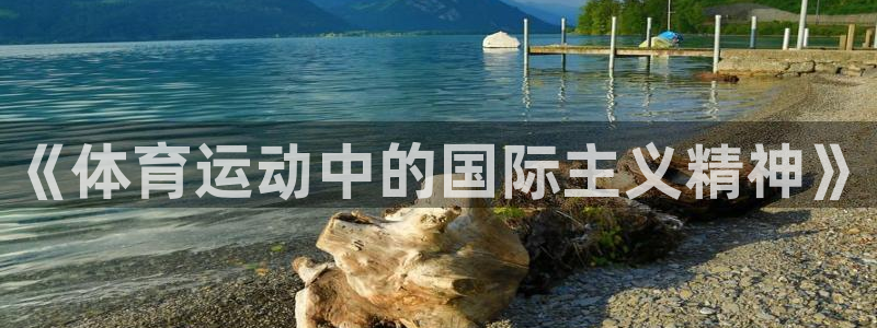 哈哈体育下载