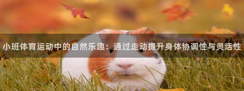 哈哈体育十年