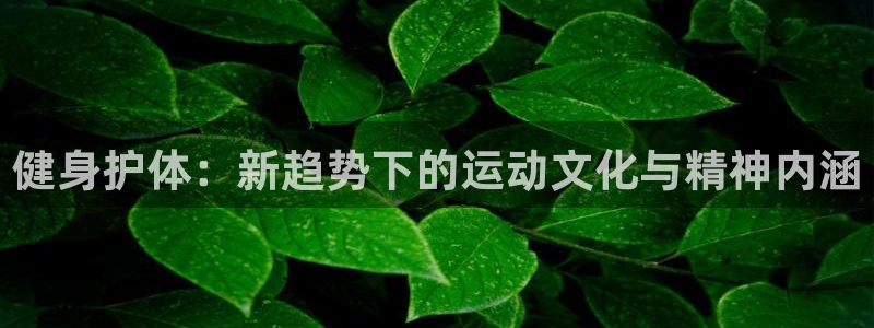 哈哈体育十年