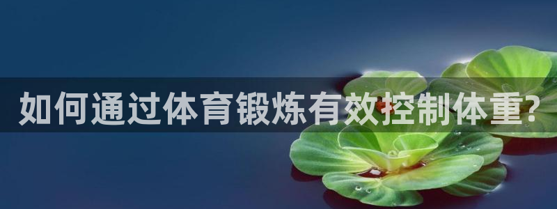 哈哈体育十年