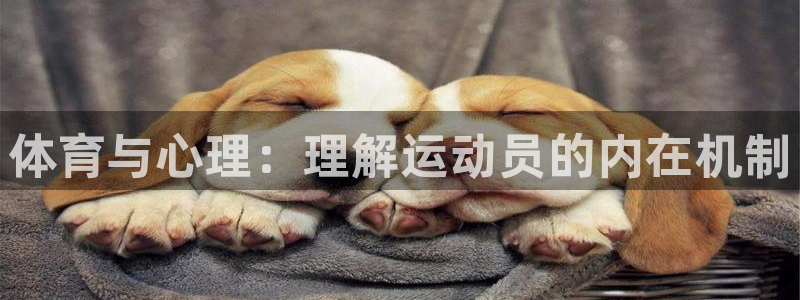哈哈体育：体育与心理：理解运动员的内在机制