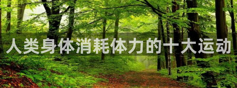 哈哈体育十年：人类身体消耗体力的十大运动