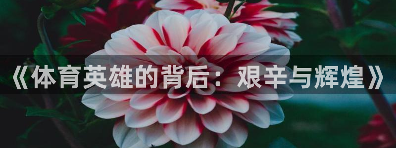 哈哈体育下载：《体育英雄的背后：艰辛与辉煌》