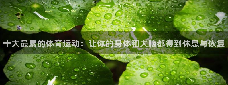 哈哈体育下载：十大最累的体育运动：让你的身体和大脑都得到休息与恢复
