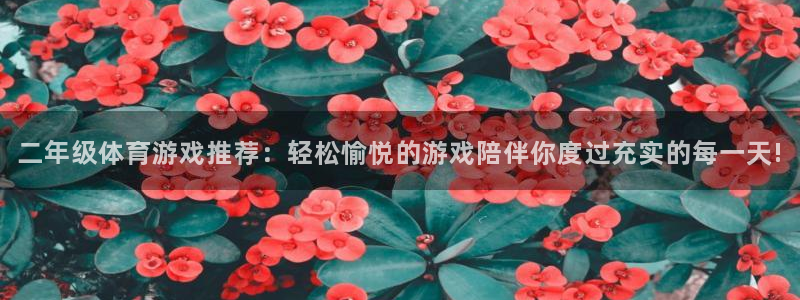 哈哈体育十年