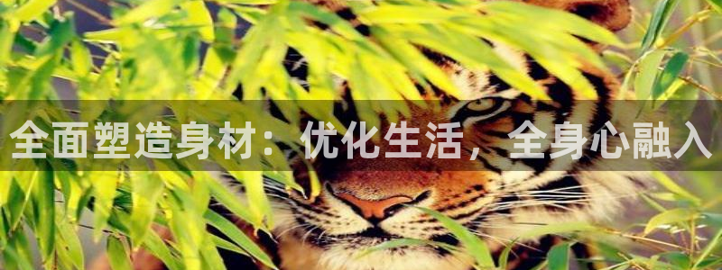 哈哈体育