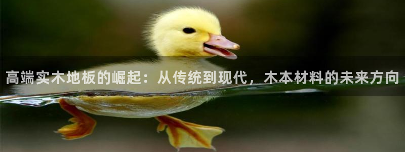 哈哈体育十年