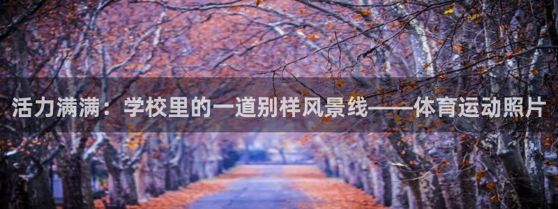 哈哈体育下载
