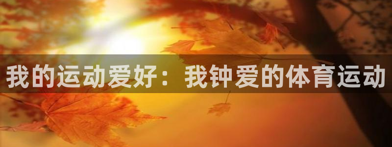 哈哈体育下载：我的运动爱好：我钟爱的体育运动