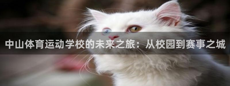 哈哈体育十年：中山体育运动学校的未来之旅：从校园到赛事之城