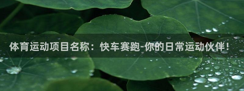 哈哈体育：体育运动项目名称：快车赛跑-你的日常运动伙伴！