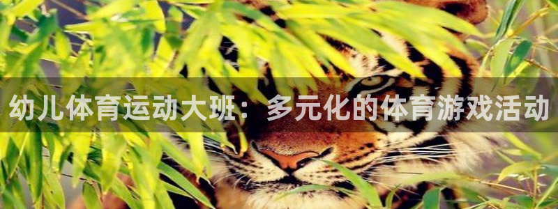 哈哈体育十年：幼儿体育运动大班：多元化的体育游戏活动